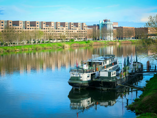 Onbekende gifstoffen in de Maas bedreigen Nederlands drinkwater
